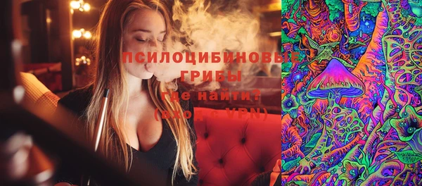 дмт Нязепетровск